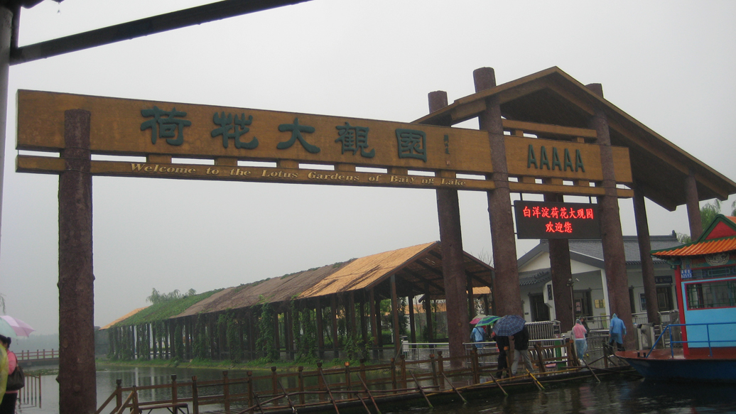 白洋淀游记7